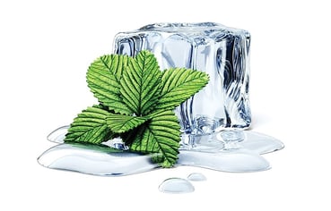 shutterstock_ice-cube-with-mint-isolated.jpg